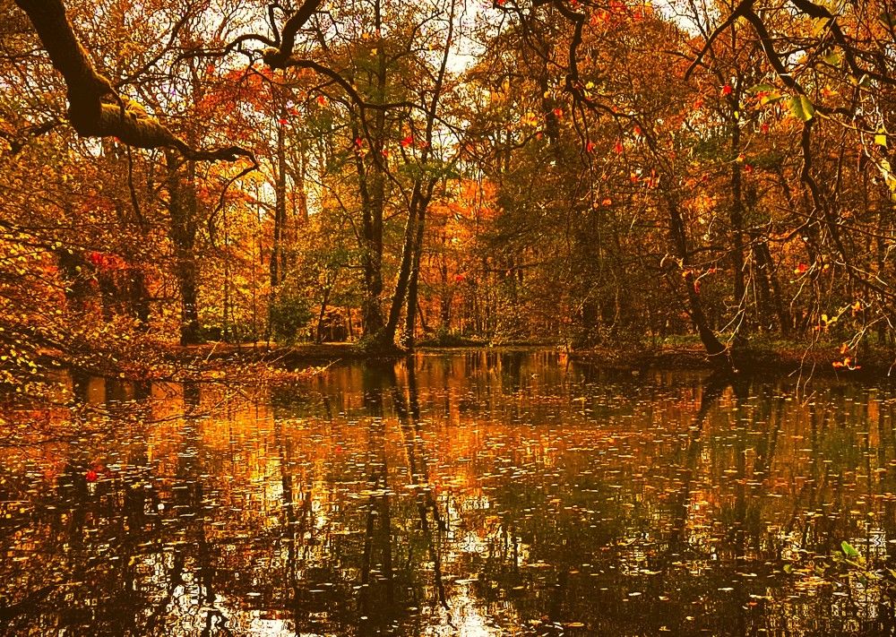 Photograph by Izabella Hamar