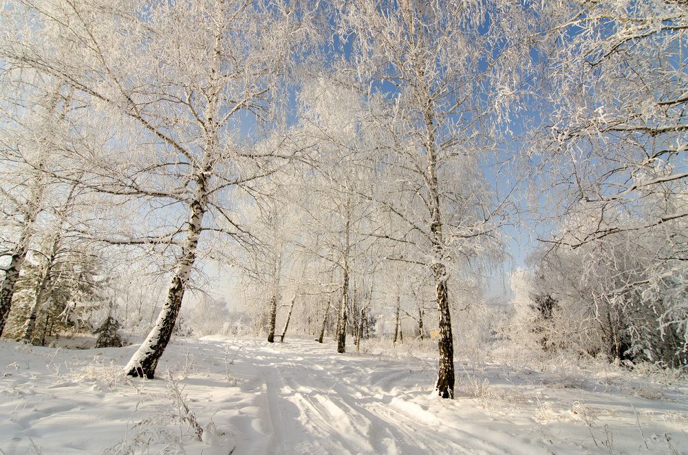 Photograph by Вадим Басов