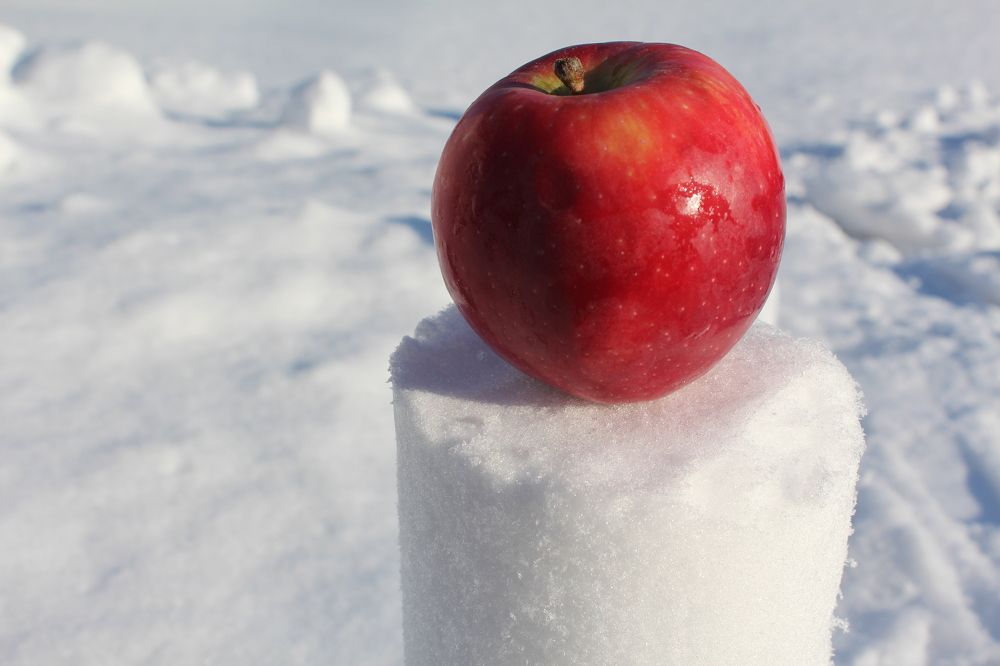 Photograph by СТЕПАН ДЖУЛАКИДЗЕ