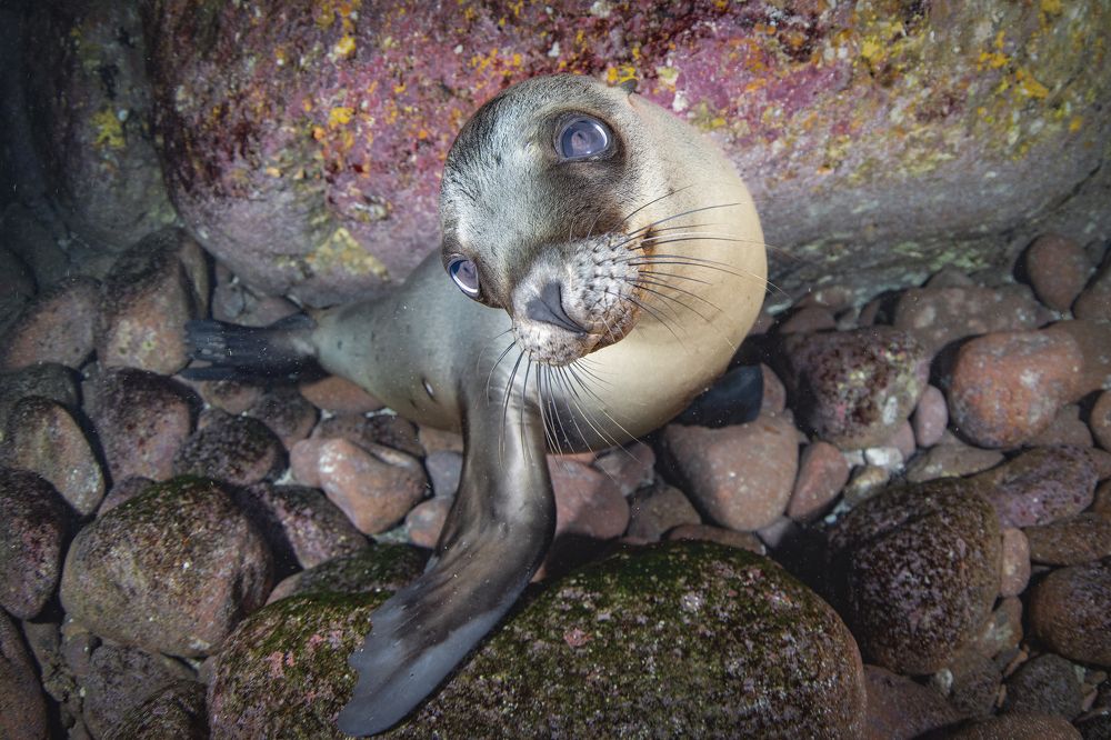 Photograph by Merche Llobera