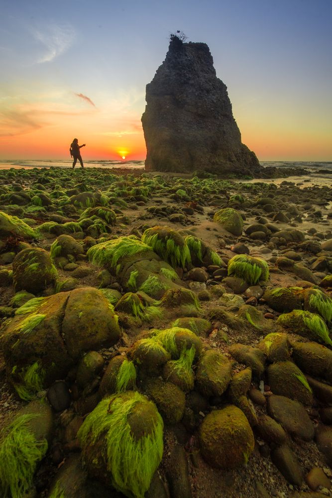 Photograph by Thai Siung Wong