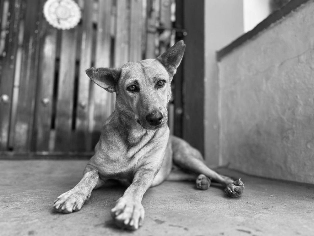 Photograph by Divakar