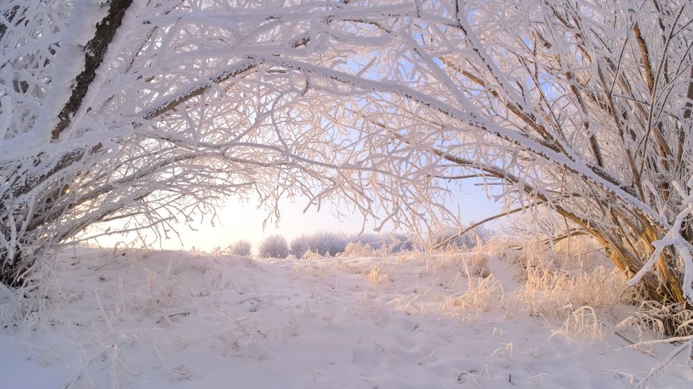 Photograph by Kostantin Belonogov