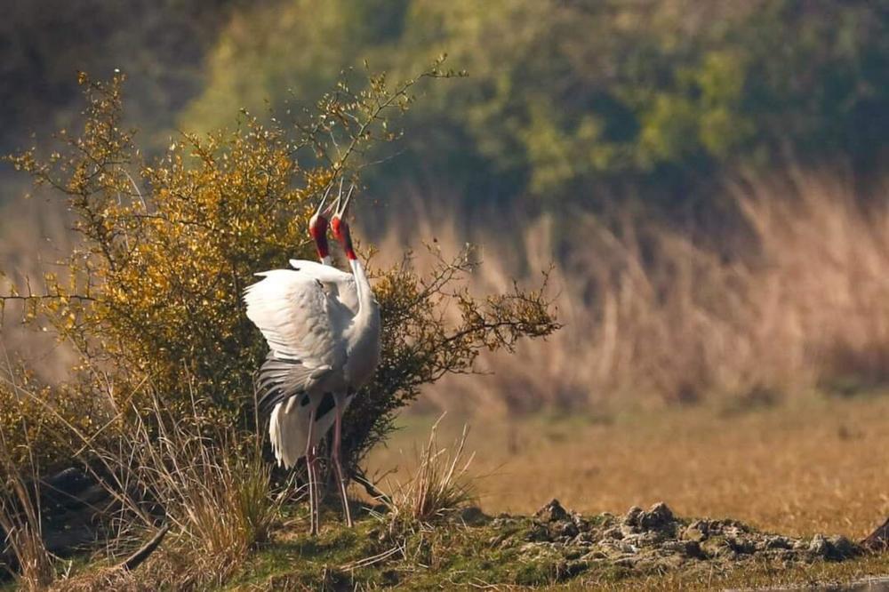 Photograph by Sathyan KM