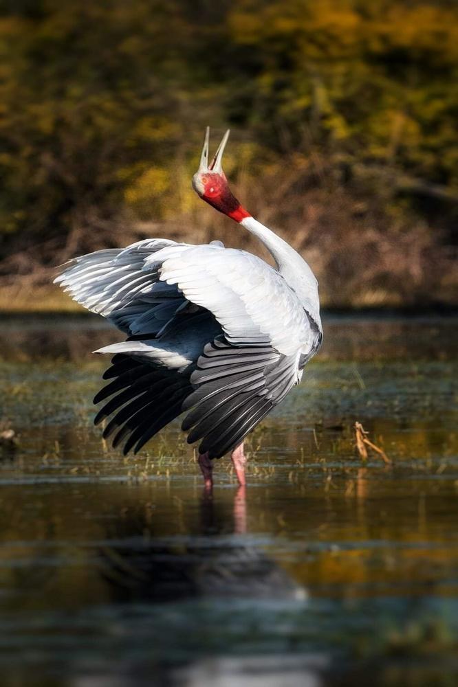 Photograph by Sathyan KM