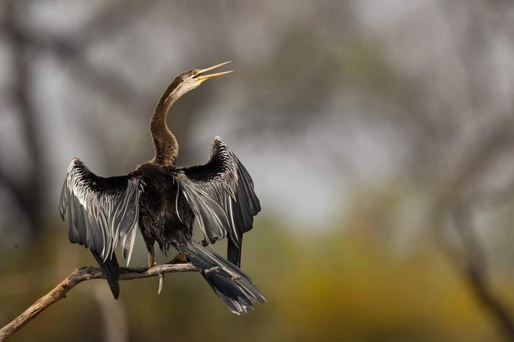 Photograph by Sathyan KM