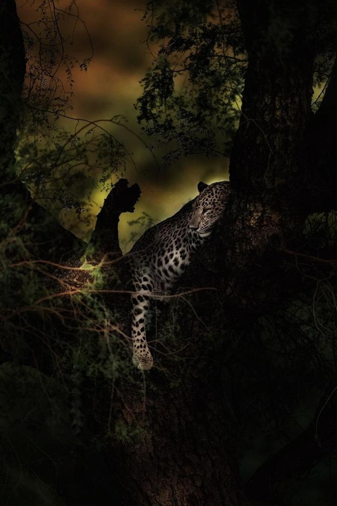 Photograph by Sathyan KM