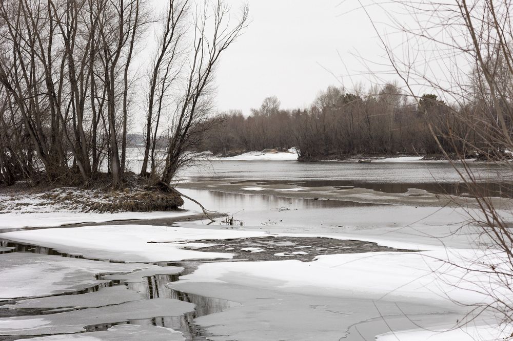 Photograph by Анастасия Сидранская