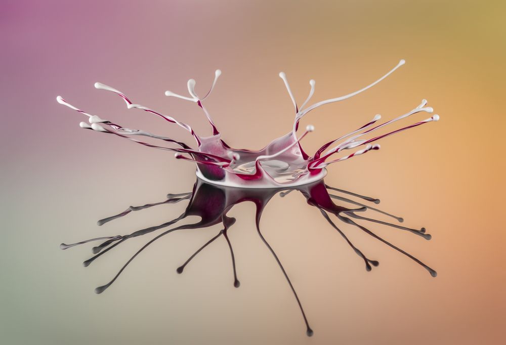 Photograph by Сергей Чупахин