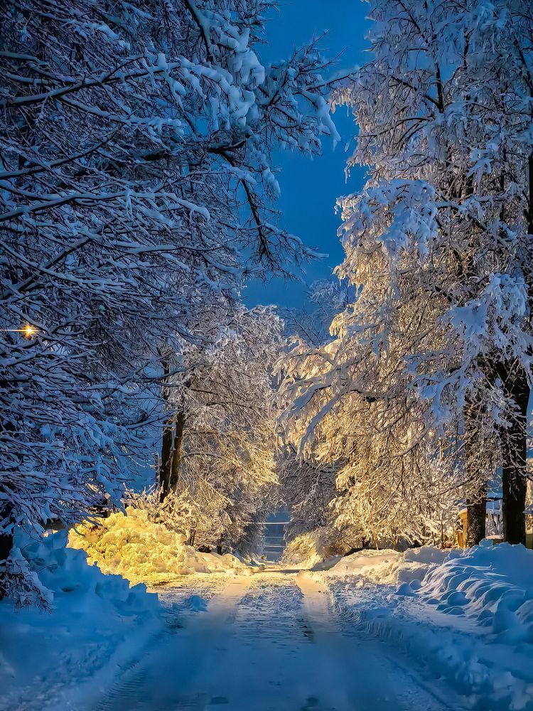 Photograph by Алиса Маркина