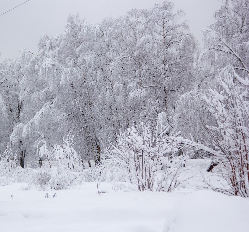 Photograph by Наталья Кирина