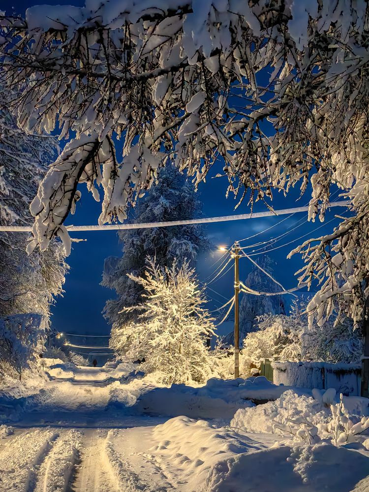 Photograph by Алиса Маркина