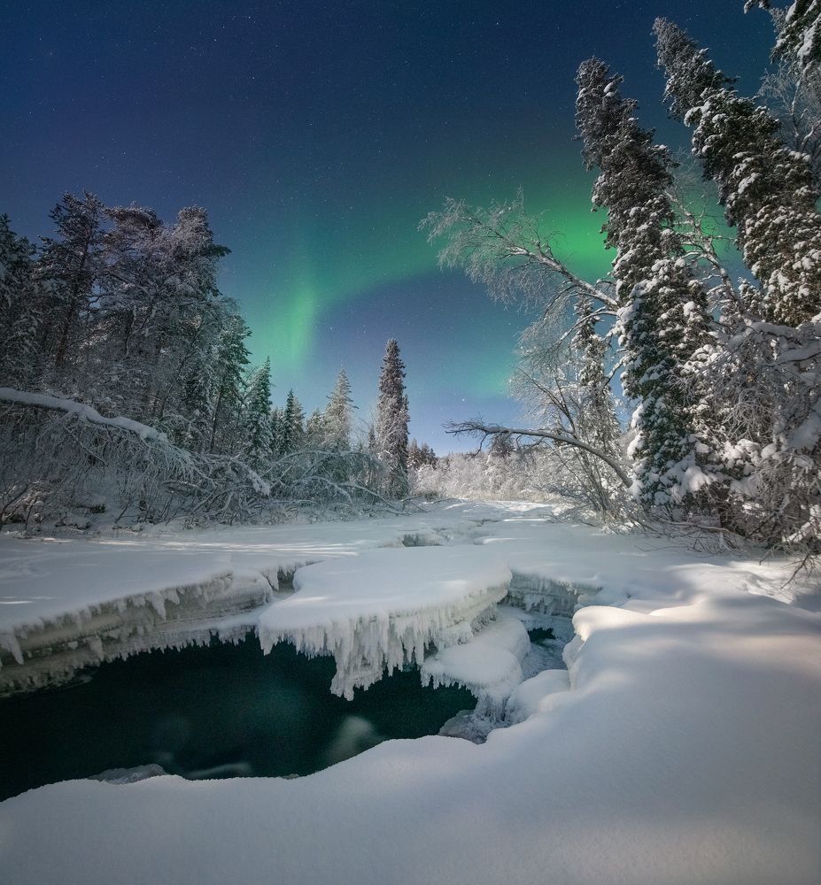 Photograph by Елена Ермолина