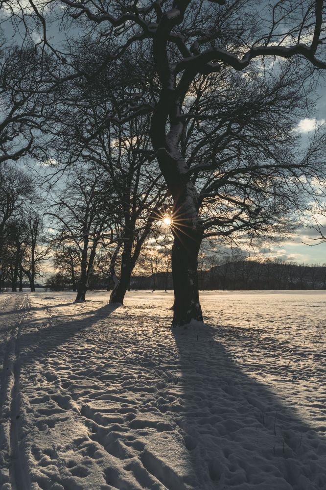 Photograph by Екатерина Карпова