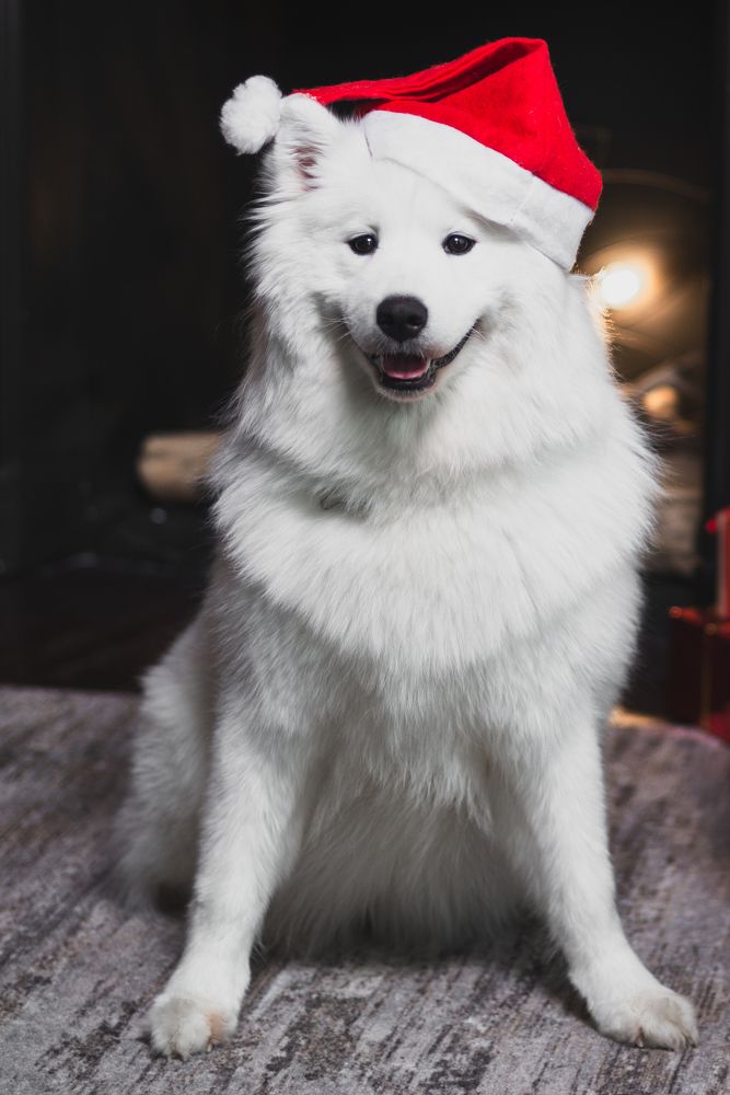 Photograph by Маргарита Гарнец