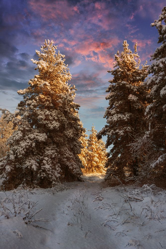 Фотография автора Андрей Лепилин