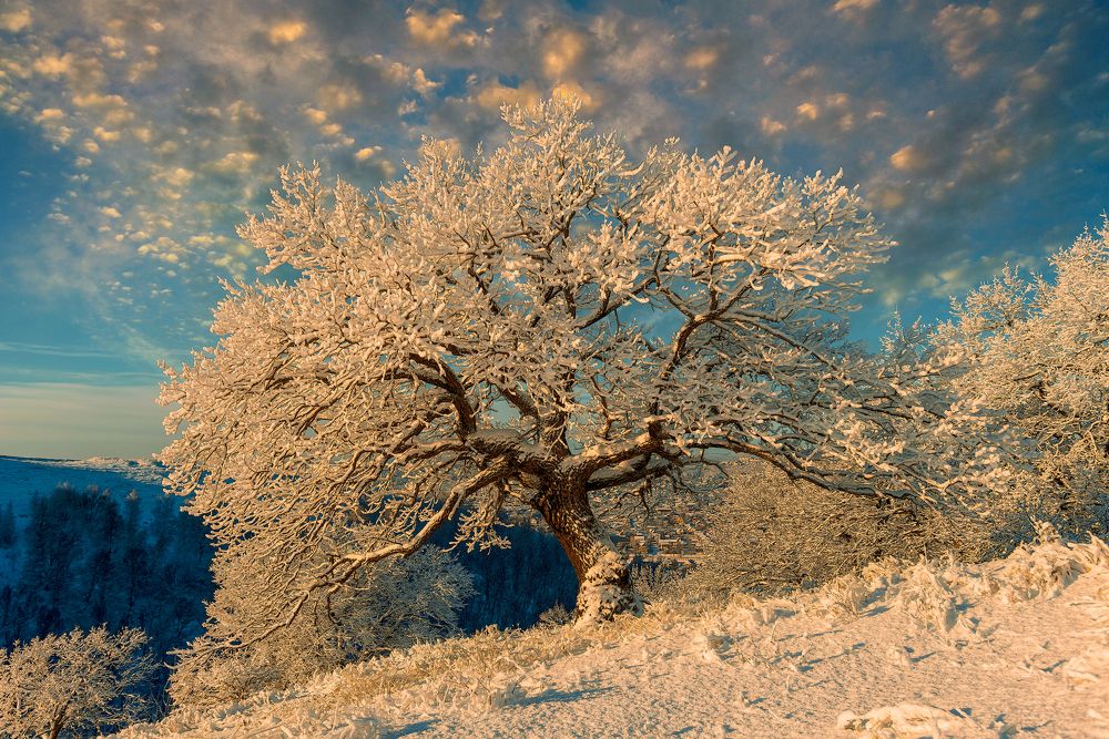 Фотография автора Андрей Лепилин