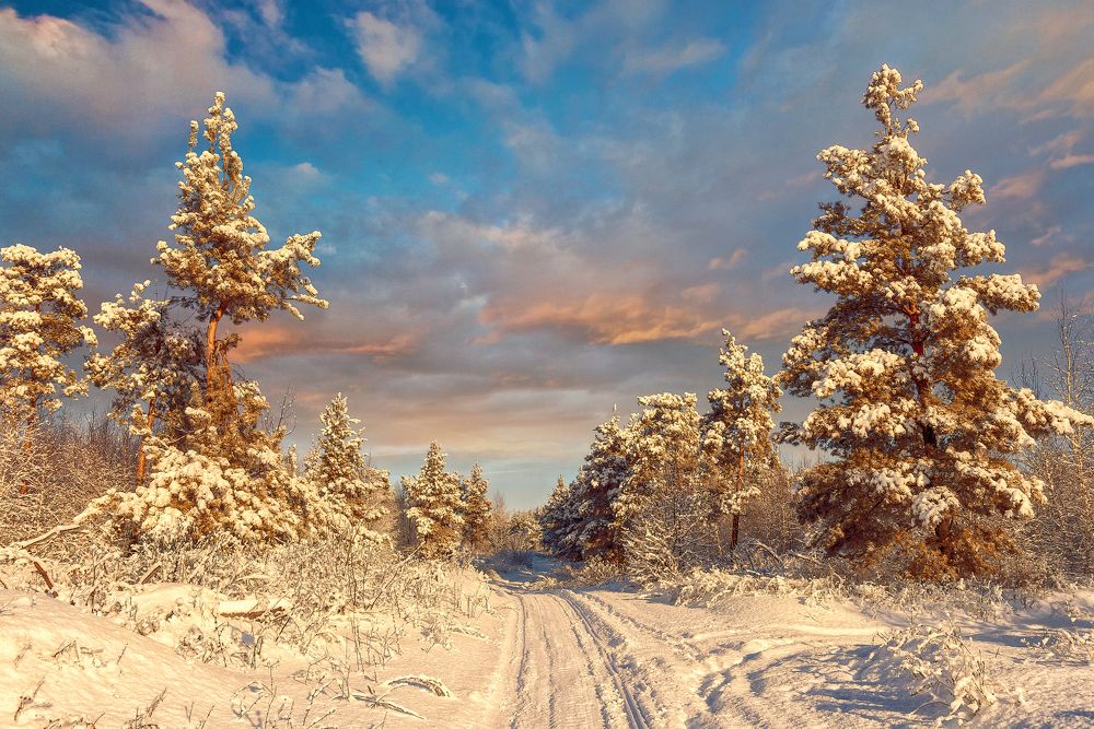 Фотография автора Андрей Лепилин