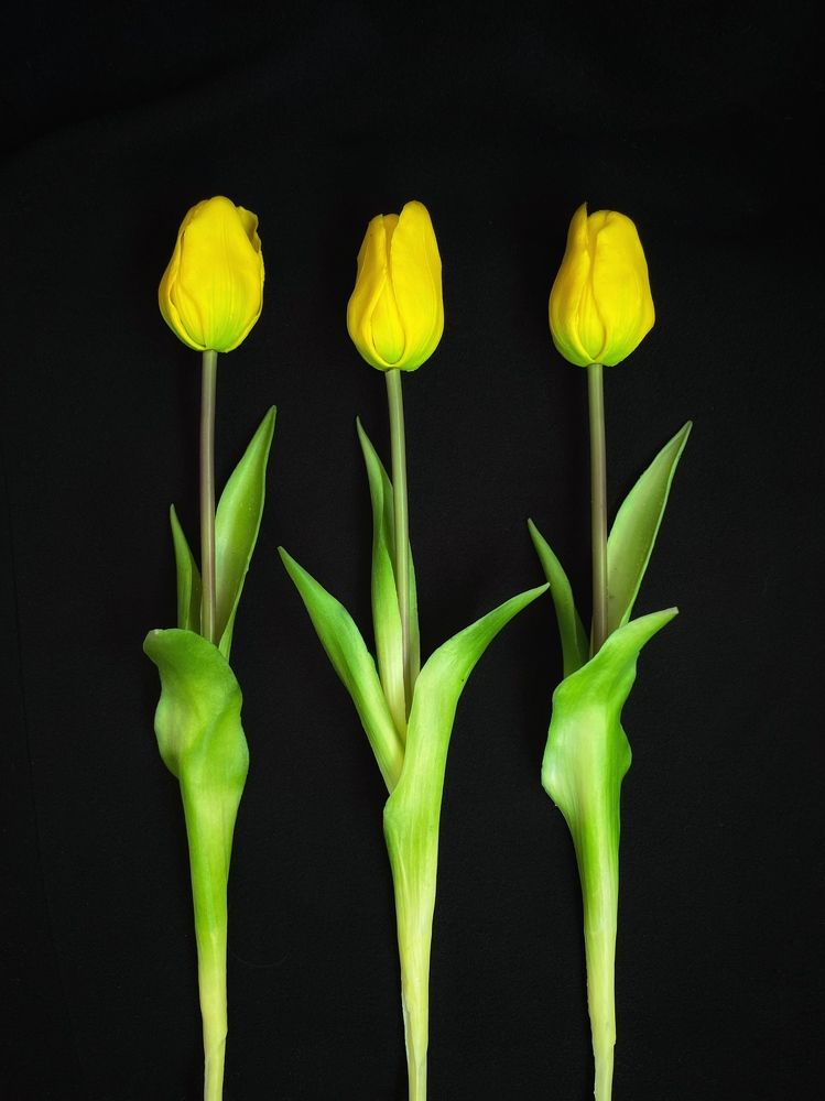 Photograph by Евгения Голубова