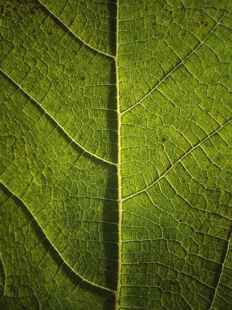 Photograph by Евгения Голубова