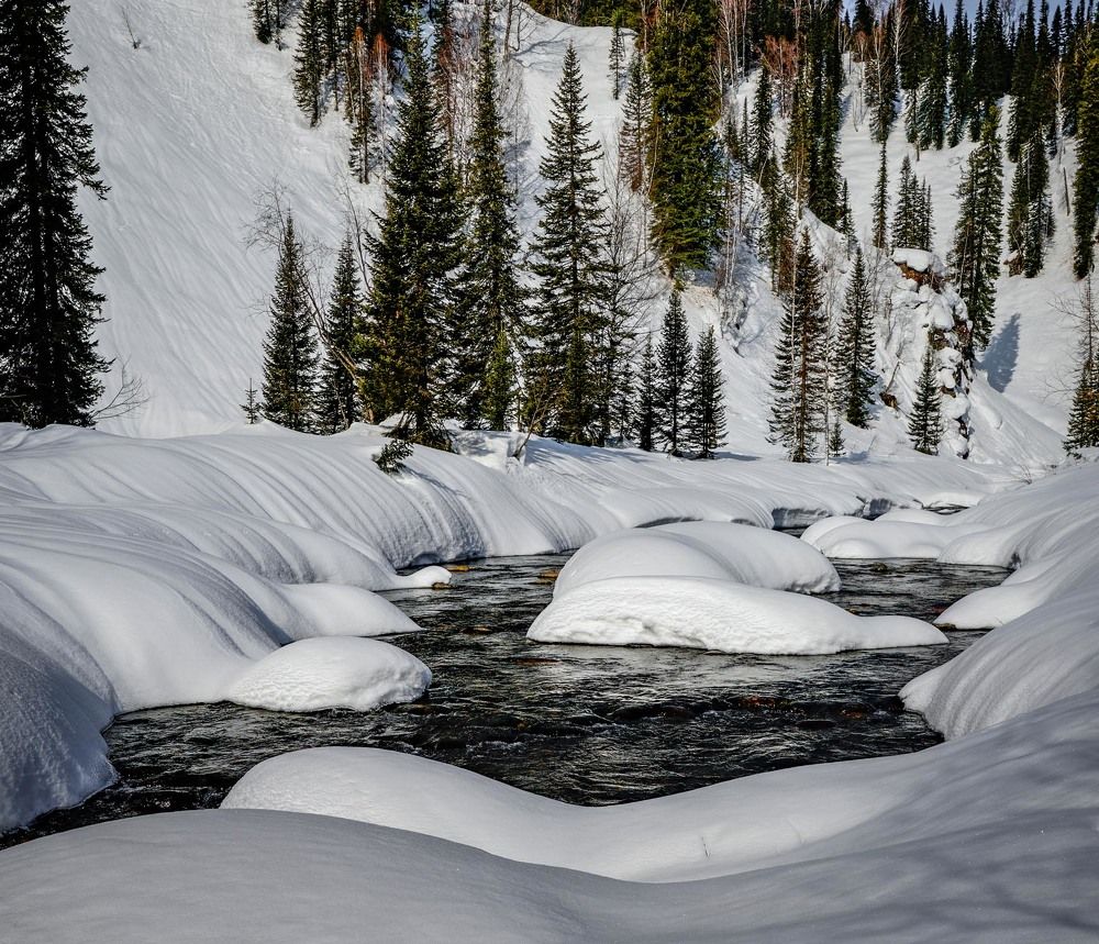 Фотография автора Татьяна Добровольская