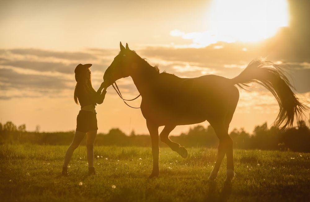 Photograph by Алексей Соколов