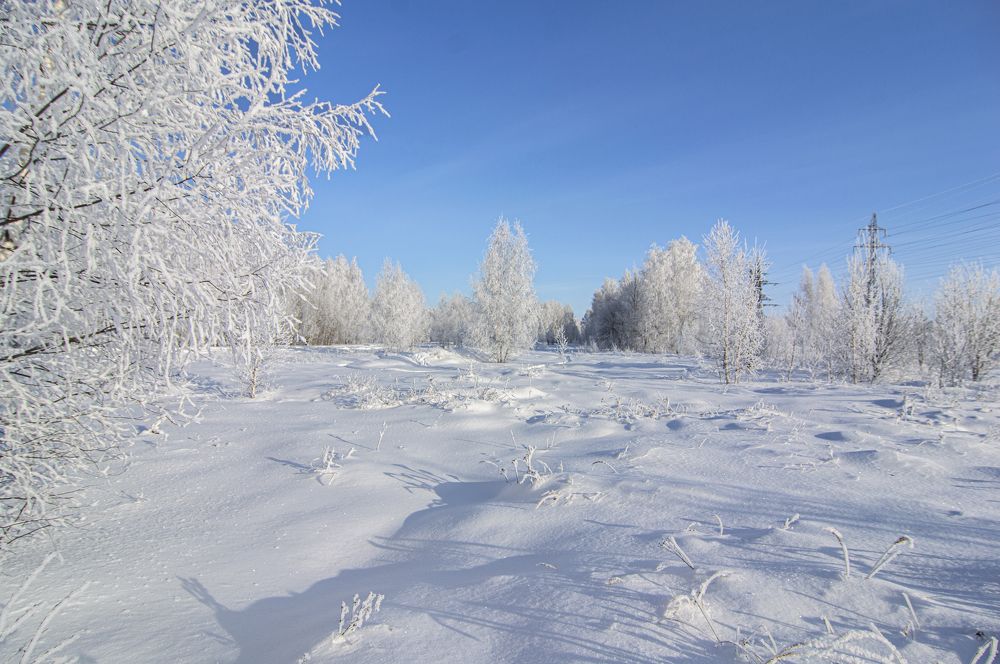 Фотография автора Клавдия Васильева