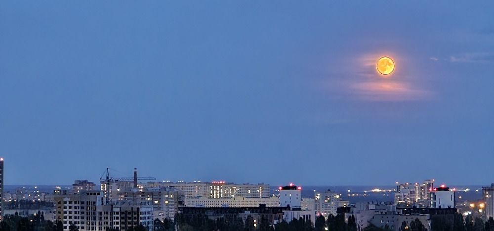 Фотография автора Evgeniia KHOKHLOVA