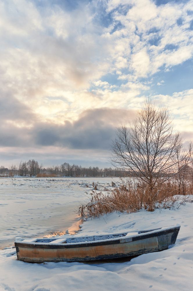 На реке Воронеж