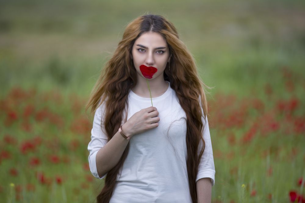 Photograph by Mohamad Rostami