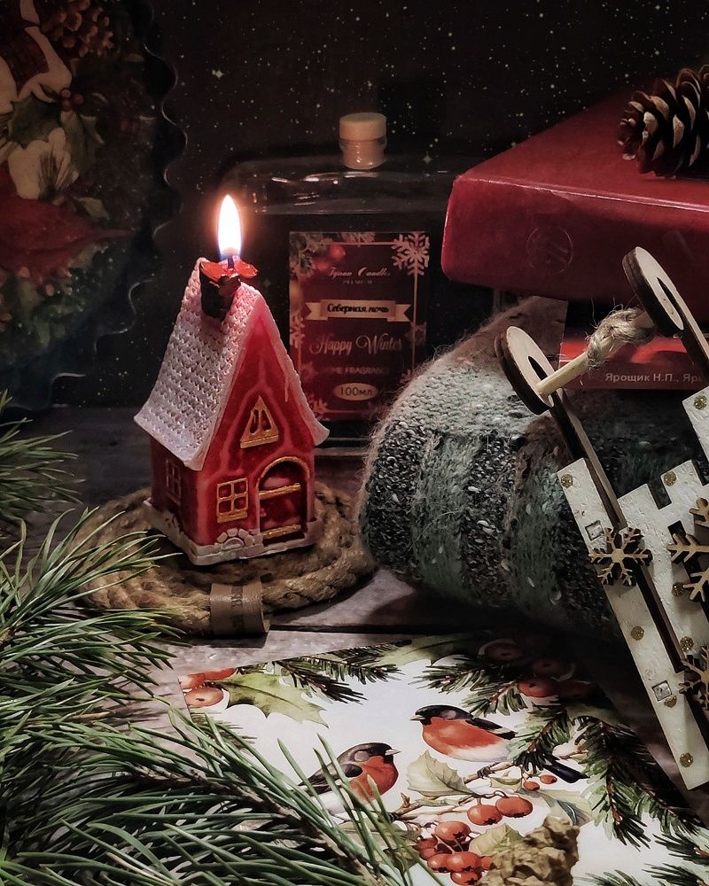 Северная ночь