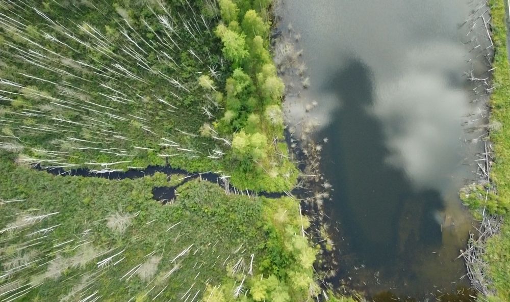 Photograph by Александр