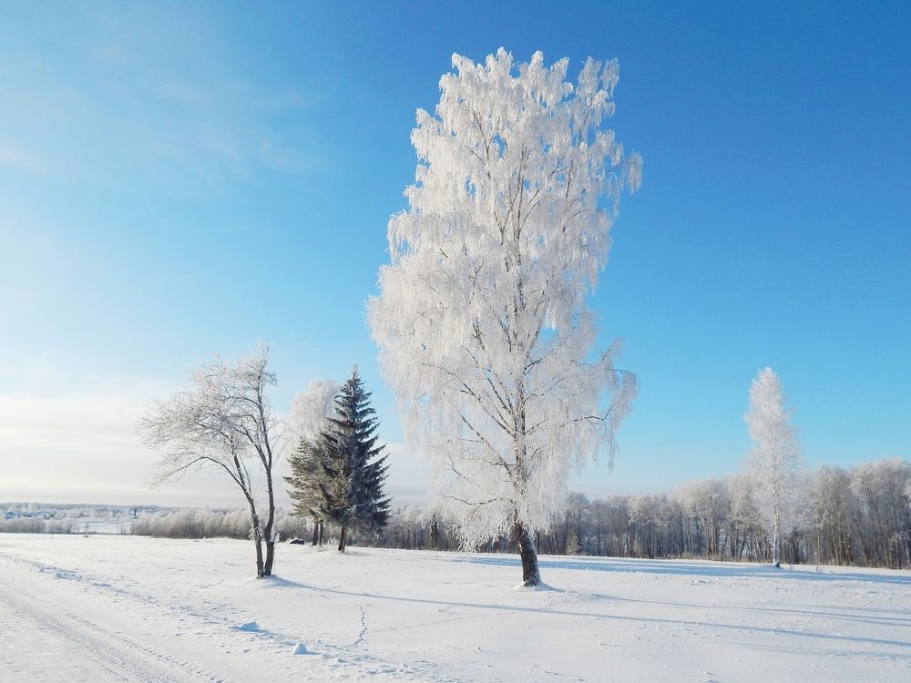 Photograph by Юрий Пучков