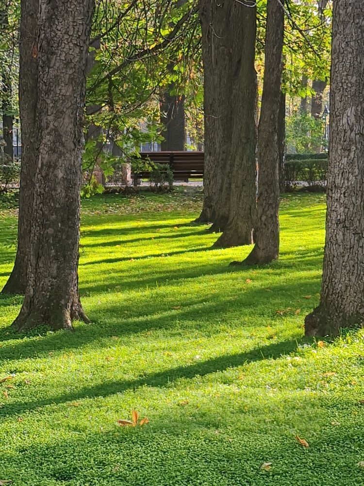 Photograph by фид зон