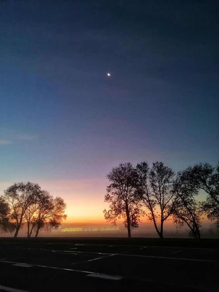 Photo #10036429