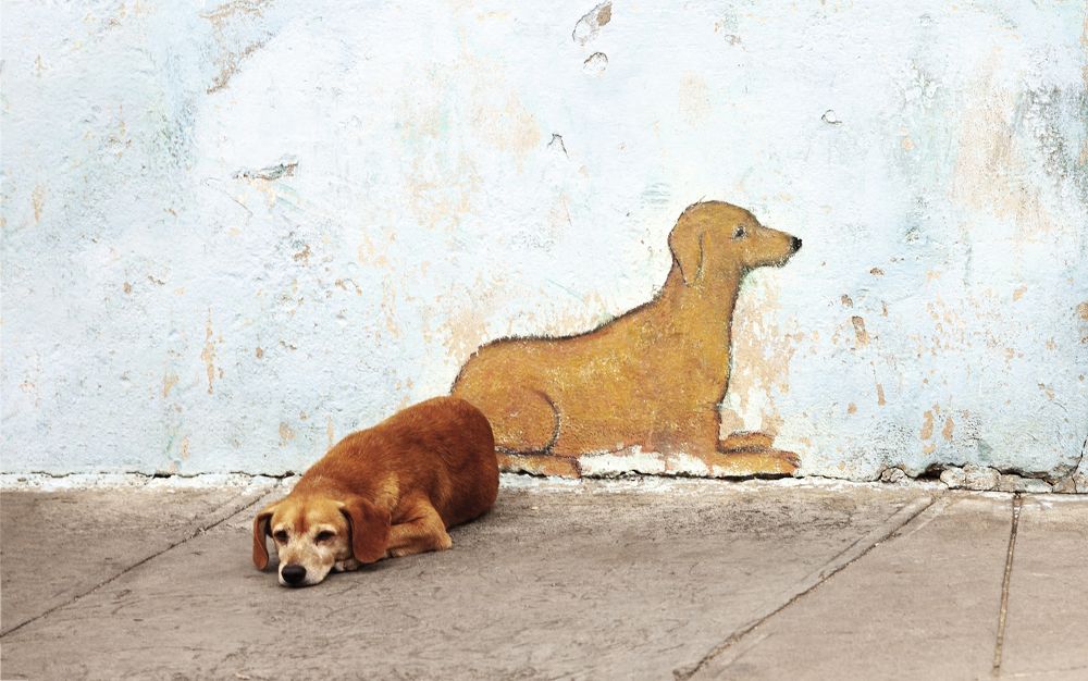 Photograph by Васенков Геннадий