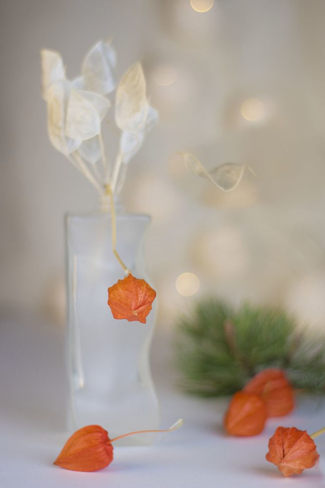 Photograph by Viktoria Alaküla