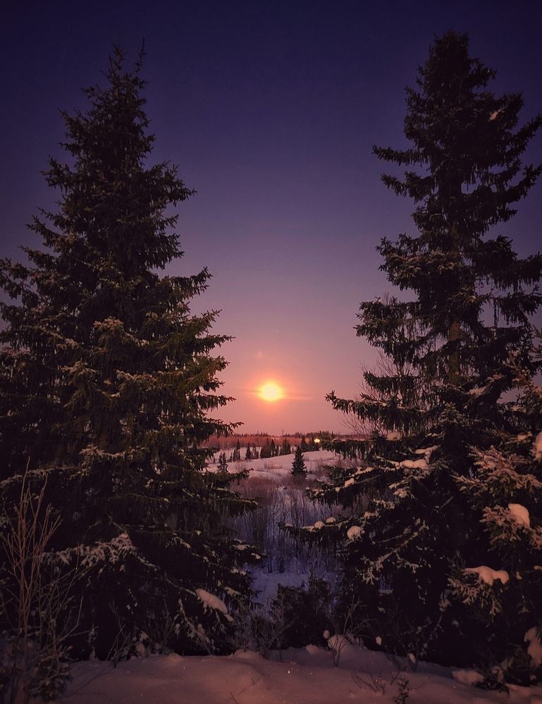 Photograph by Александр Бакин