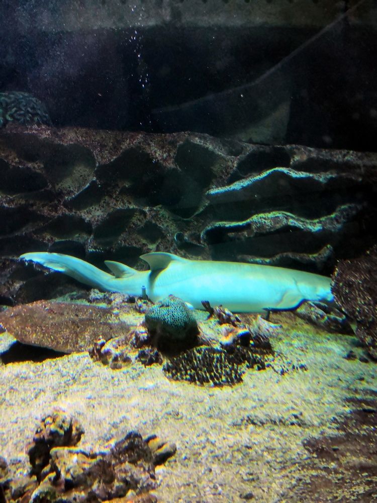 Фотография автора Юрий Рудый