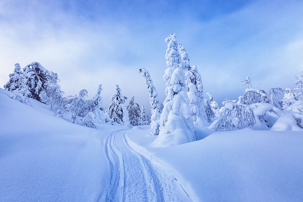 Photograph by Липецких Владимир