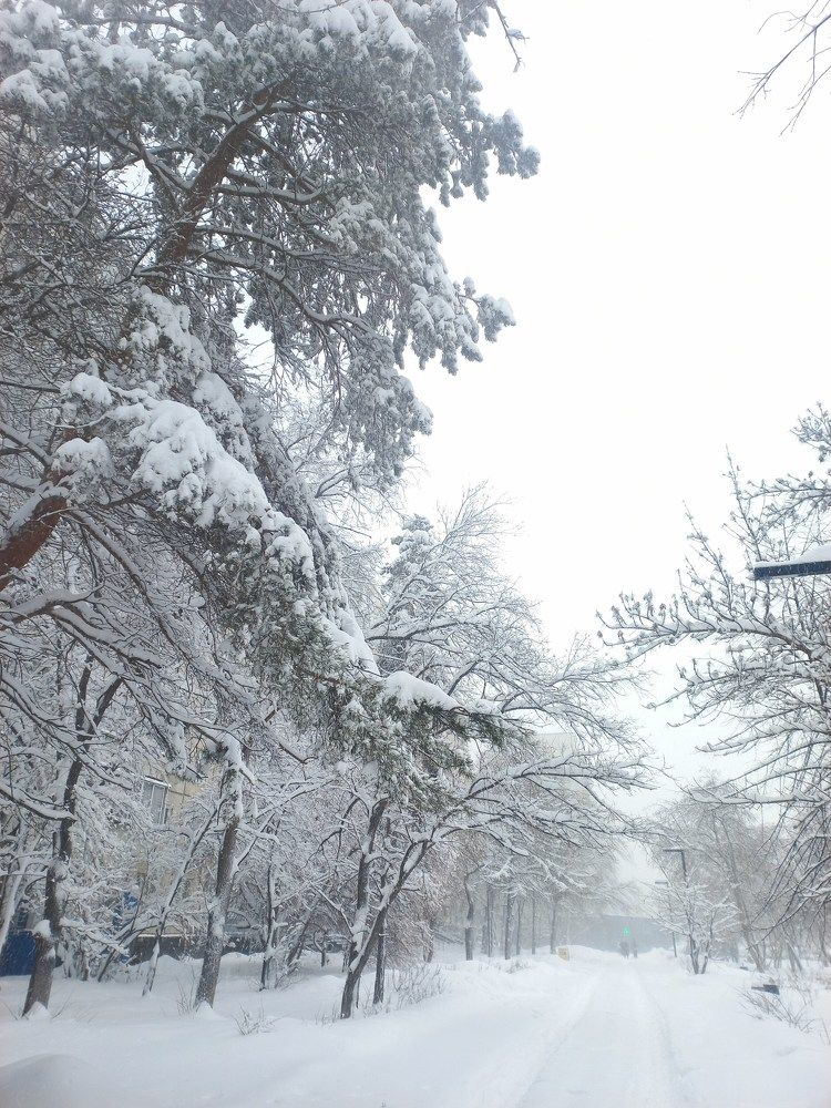 Photograph by Екатерина Пенежина