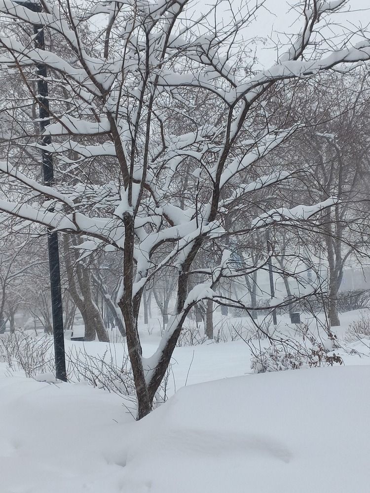 Photograph by Екатерина Пенежина