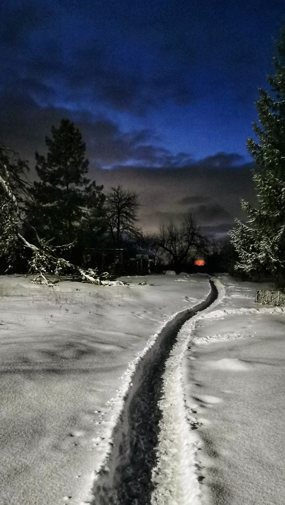 Photograph by Любовь Колмакова