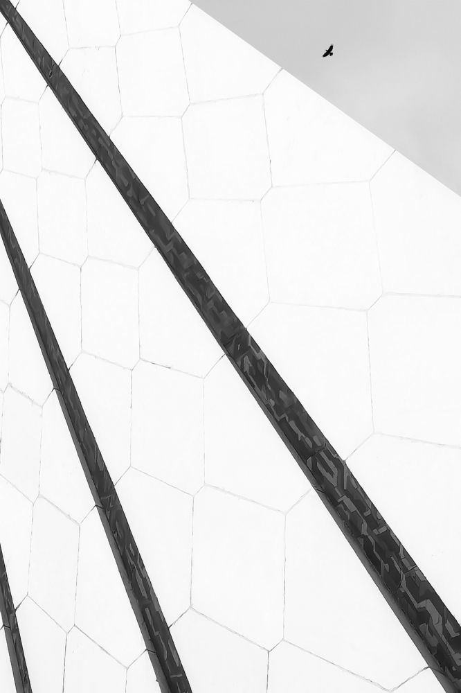 Photograph by Hoda Amouzandeh