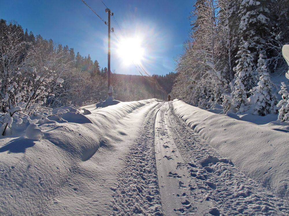 Фотография автора Сергей Тимофеев