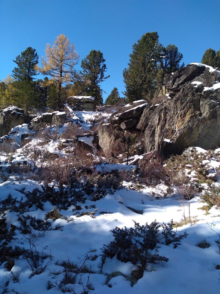 Photograph by СТЕПАН ДЖУЛАКИДЗЕ