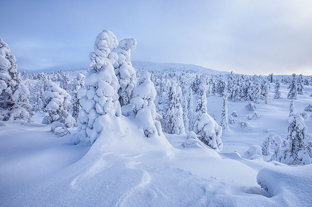 Photograph by Липецких Владимир