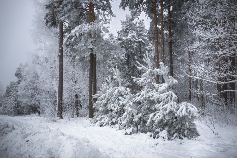 Photograph by Valdis Serzhans