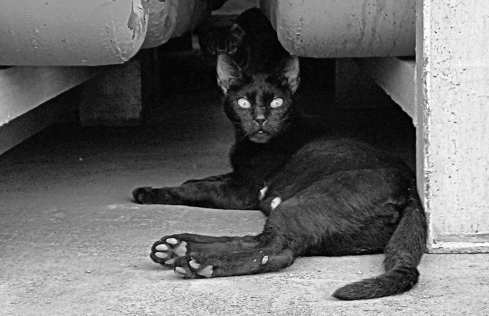 Photograph by Сергей Рапопорт