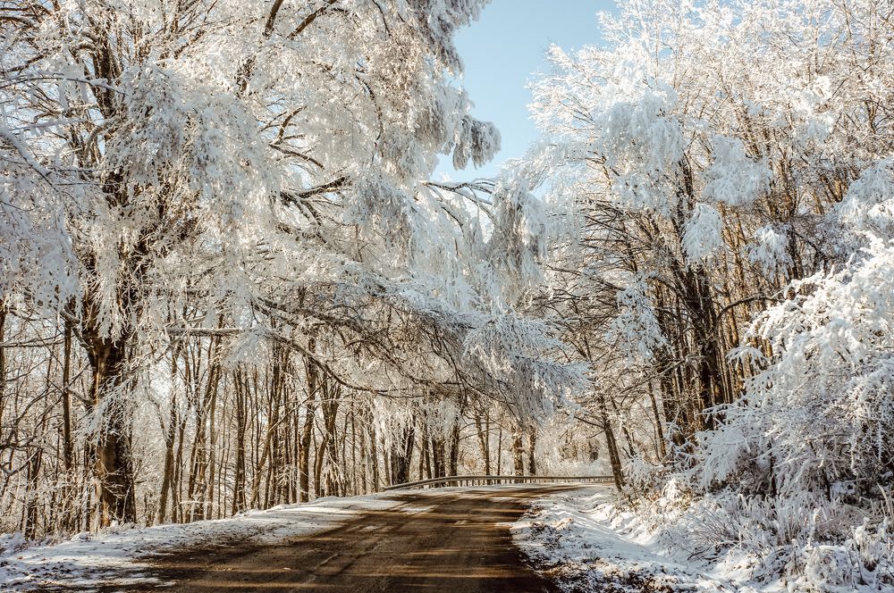 Photograph by Евгения Безматерных